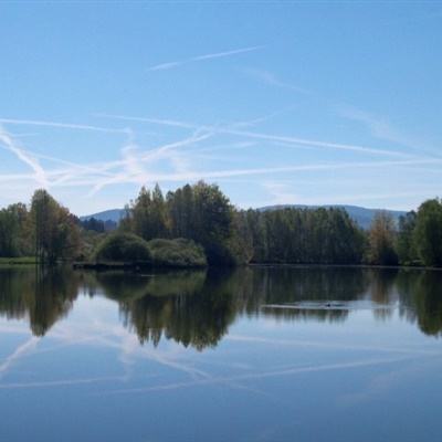 乐彩网app官方正版下载截图